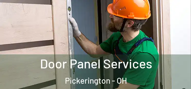  Door Panel Services Pickerington - OH