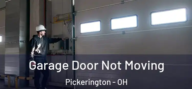  Garage Door Not Moving Pickerington - OH