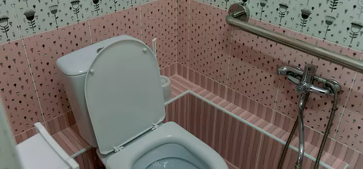 Meeting Diverse Needs With Accessible Restroom Solutions in Pickerington, OH
