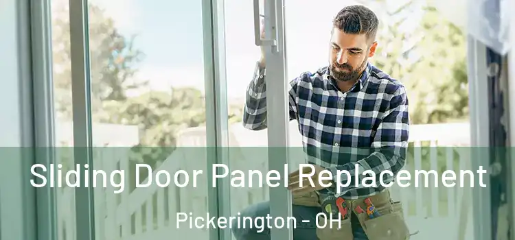  Sliding Door Panel Replacement Pickerington - OH