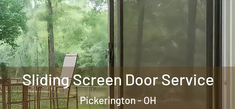  Sliding Screen Door Service Pickerington - OH